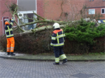 Prio 2 Stormschade Hanegraafweg Noardburgum